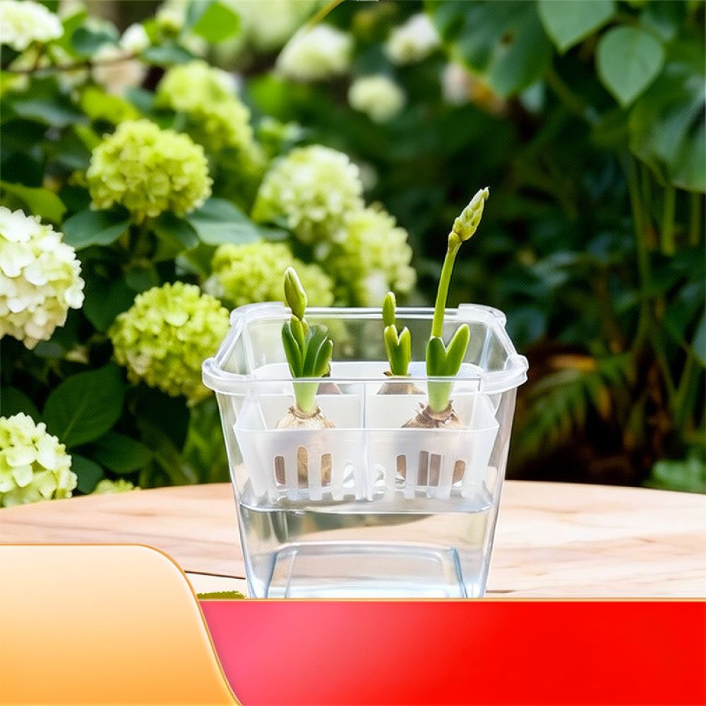 وعاء زراعة مائية للزهور، مناسب - مراجعة Vase Decor وسعره